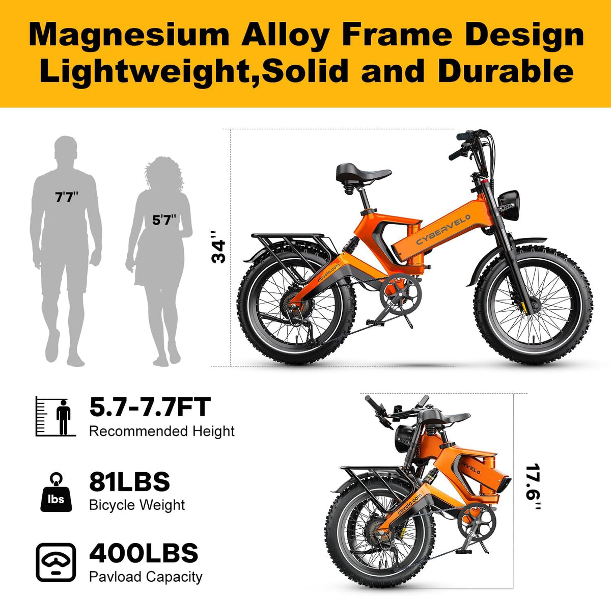 Folding Electric Bike