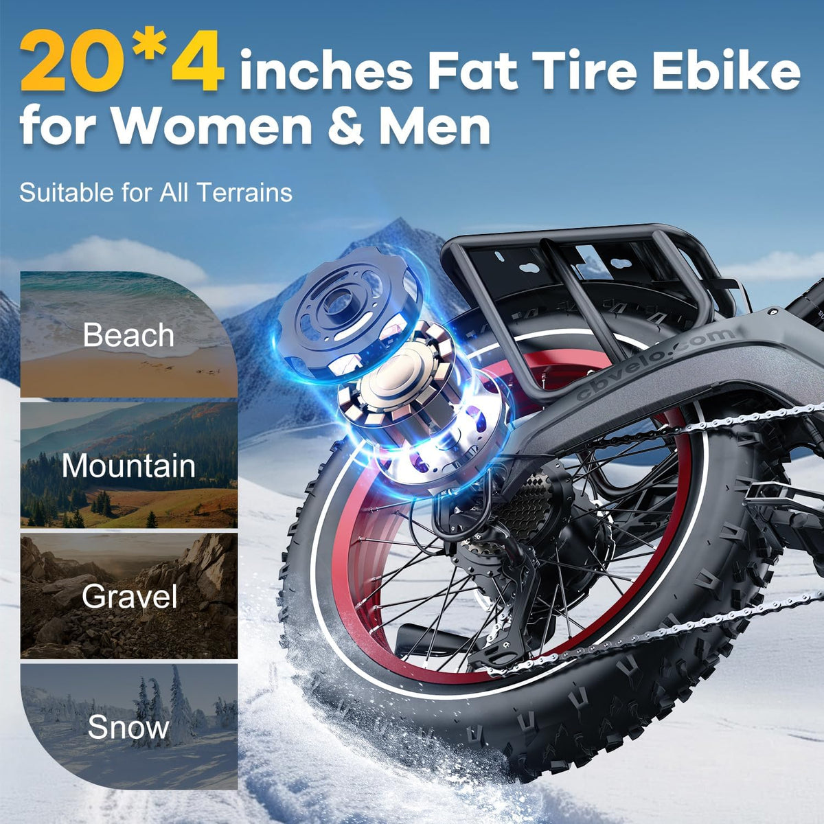 Folding Electric Bike
